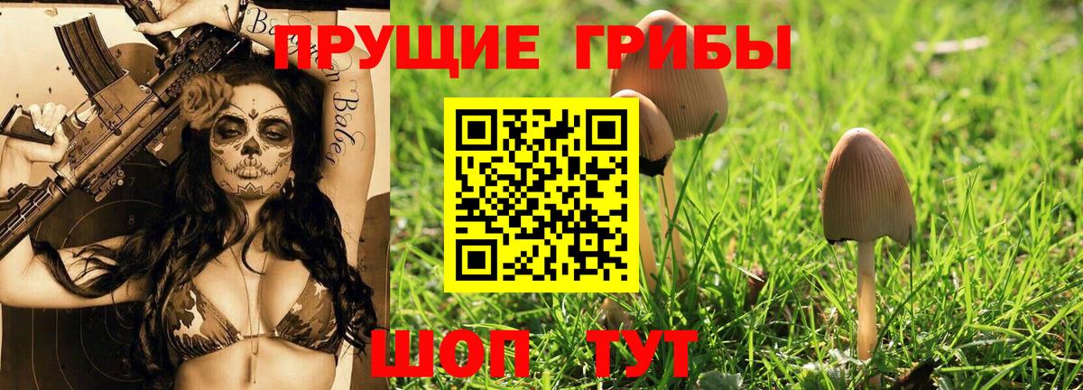 Галлюциногенные грибы прущие грибы  Вход с VPN  Печора 
