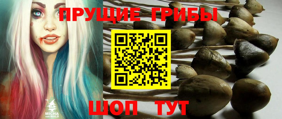Галлюциногенные грибы ЛСД Печора